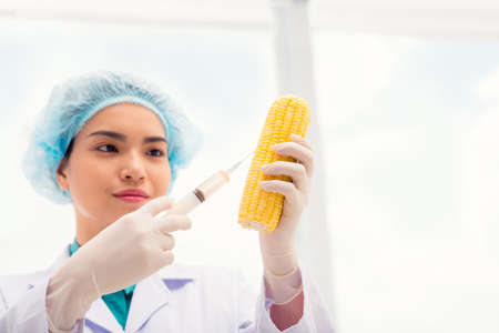 Female laboratory worker injecting cornの写真素材