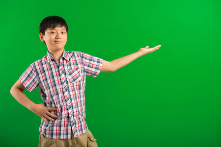 Asian boy showing something, isolated on greenの写真素材