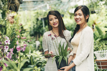Portrait of smiling florists choosing flowers in gardenの写真素材