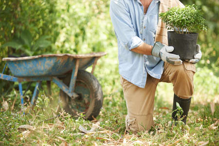 Planting timeの写真素材