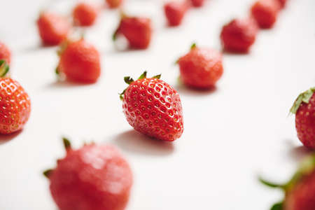 Fresh berriesの写真素材