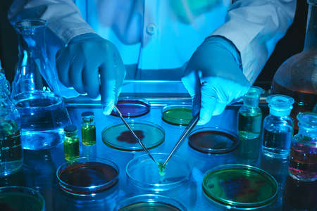 Hands of scientist putting piece of plant on petri dishの写真素材