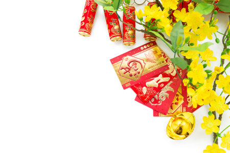 Blooming apricot and greeting cards on white background: Chinese New Yearの写真素材