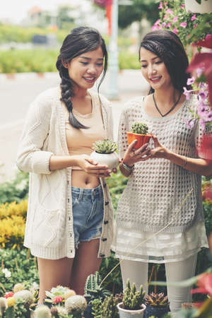Vietnamese female friends buying cactuses for room decorationの写真素材