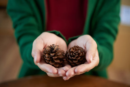 Hands of woman with two pine cones