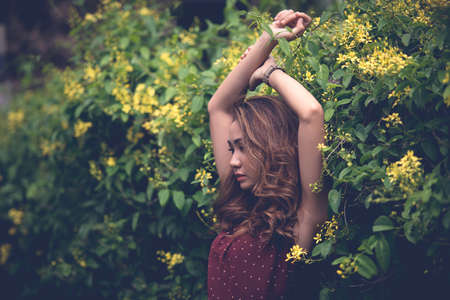 In blooming bushesの写真素材