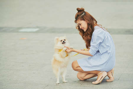 Smiling Asian young woman teaching her dog to stand on two pawsの写真素材