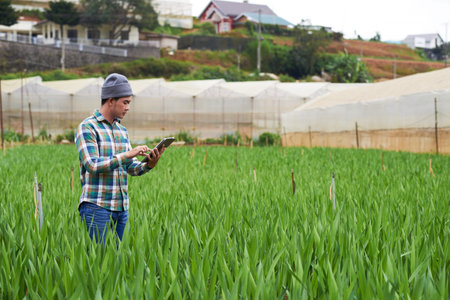 Growing leek