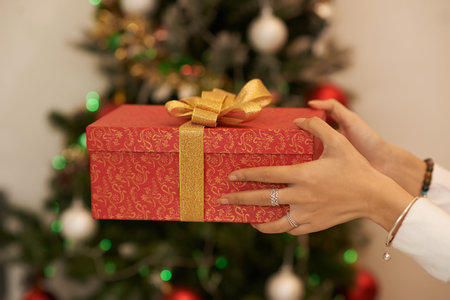 Present for Christmasの写真素材