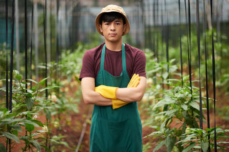 Agro-engineerの写真素材