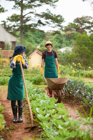 Cheerful Vietnamese young couple working in their garden togetherの写真素材