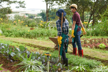 Gardening coupleの写真素材