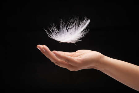 Close-up shot of white feather falling to female hand, isolated on black backgroundの写真素材
