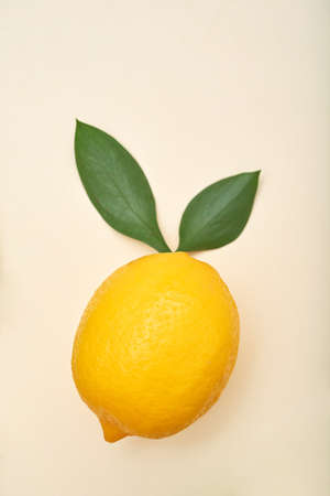 Close-up shot from above of bright ripe yellow lemon with green leaves on white backgroundの写真素材