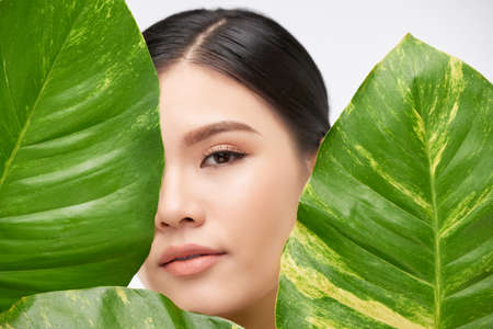 Young beautiful woman standing in big green leaves on white backgroundの写真素材