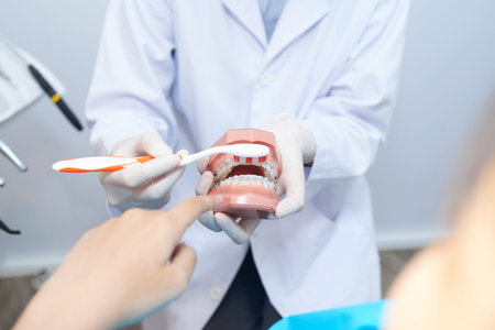 Faceless shot of dentist in white gown holding teeth model and explaining how to brush teeth...
