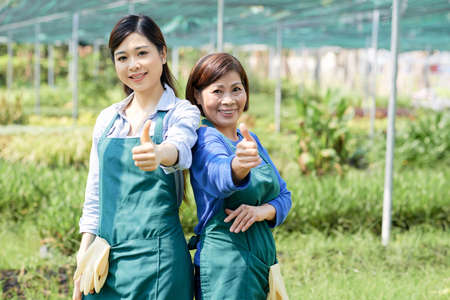 Portrait of two Asian farmers in aprons standing together and showing thumbs up while working in the farmの写真素材