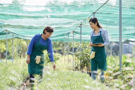 Two female farmers in aprons examining grow of plants and discussing something in greenhouseの写真素材