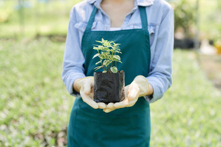 Young farmer holding green plant while working in greenhouseの写真素材