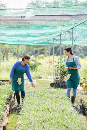 Two female gardeners working with plants in team in greenhouse and using digital tablet