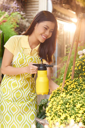 Florist watering flowersの写真素材