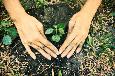 Ecology conceptの写真素材