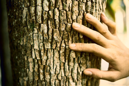 Human and nature contactの写真素材