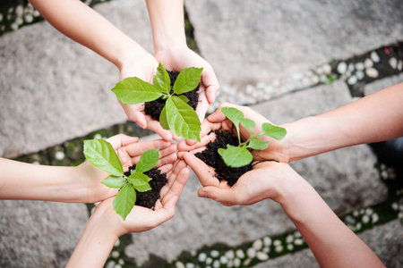 Close-up of young people holding a green plants with soil in palm of their hands outdoors