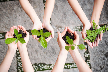 Close-up of people with plants in their hands standing outdoors and planting young trees