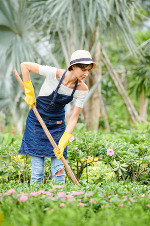 Serious young woman cleaning grass with rake when working in public flower gardenの写真素材