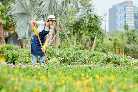 Pretty young woman in denim apron and hat working with rake in public gardenの写真素材