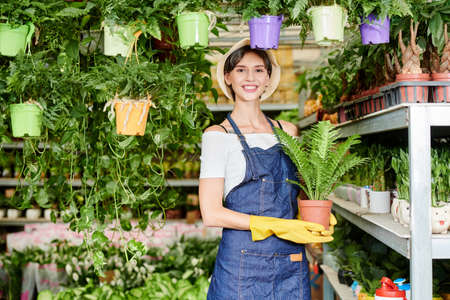 Portrait of pretty female greenhouse worker in blue apron and rubber gloves holding pot with plantの写真素材