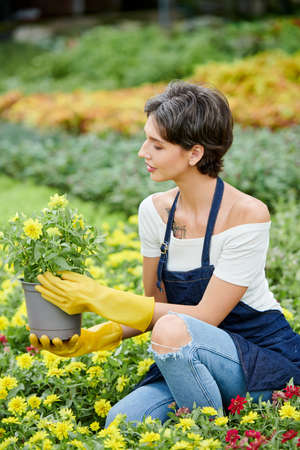 Pretty woman enjoying working in her gadgen and pricking out blooming flowers from potsの写真素材