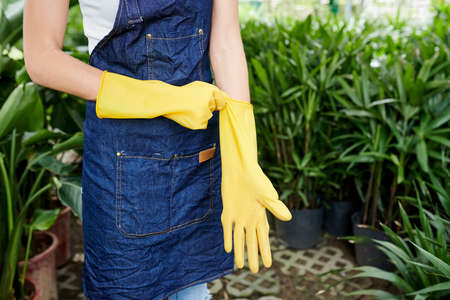 Cropped image of flower shop worker putting on rubber gloves and getting ready to transplant flowersの写真素材