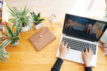 Businesswoman sitting at office desk with many flowers and working on laptop, view from above