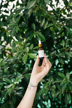 Hand of woman holding pipette dropper bottle with essential oil against tea treeの写真素材