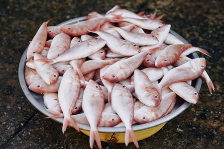 Steel tub full of pale pink fish at Asian fish market high angle horizontal shot