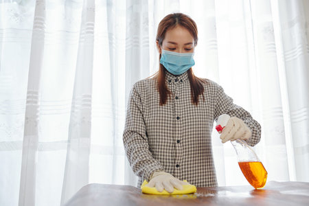 Woman cleaning furniture