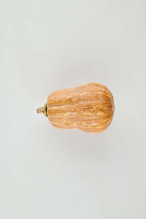 Ripe honeynut squashの写真素材
