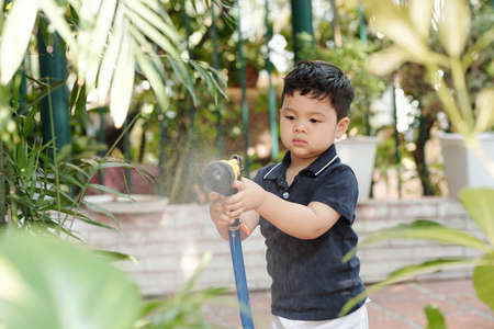 Adorable little kid with hose enjoying watering flowers in garden on summer dayの写真素材