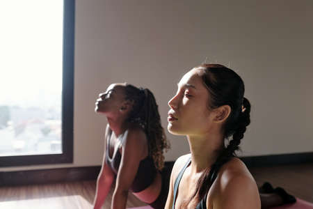 Calm young sportswomen practicing asana in yoga studio to relax and get rid of stressの写真素材