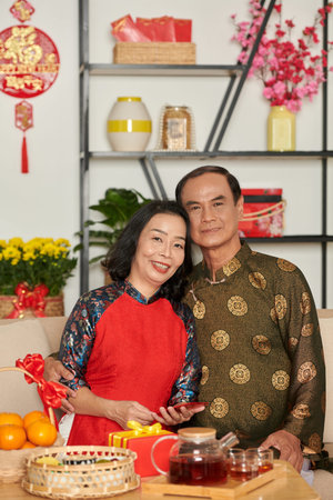 Portrait of cheerful senior couple decorating house and preparing everything for family Tet celebrationの写真素材