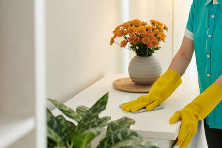 Cropped image of housekeeping professional wearing silicone gloves when wiping dust in house of customerの写真素材