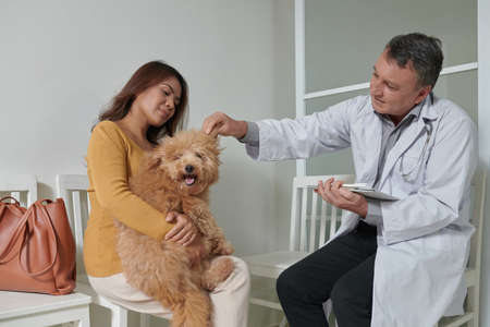 Veterinarian checking ears of dog sitting on laps of female ownerの写真素材