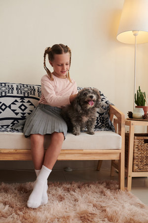 Smiling preteen girl with braided hair patting little dogの写真素材