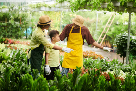 Parents showing little son plants in greenhouse and explaining how to care about flowersの写真素材