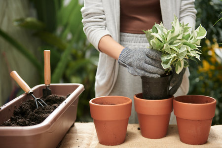 Woman wearing textile gloves when repotting plants in backyardの写真素材