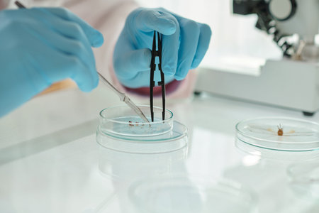 Close-up of gloved hands of biologist or biotechnologist with medical instruments cutting tiny...