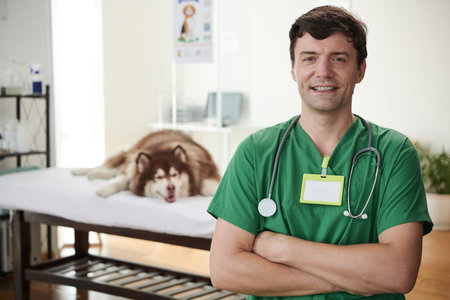 Portrait of positive doctor of veterinary clinic, big dog lying in backgroundの写真素材