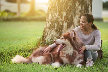 Happy woman sitting under tree in park and patting big dogの写真素材